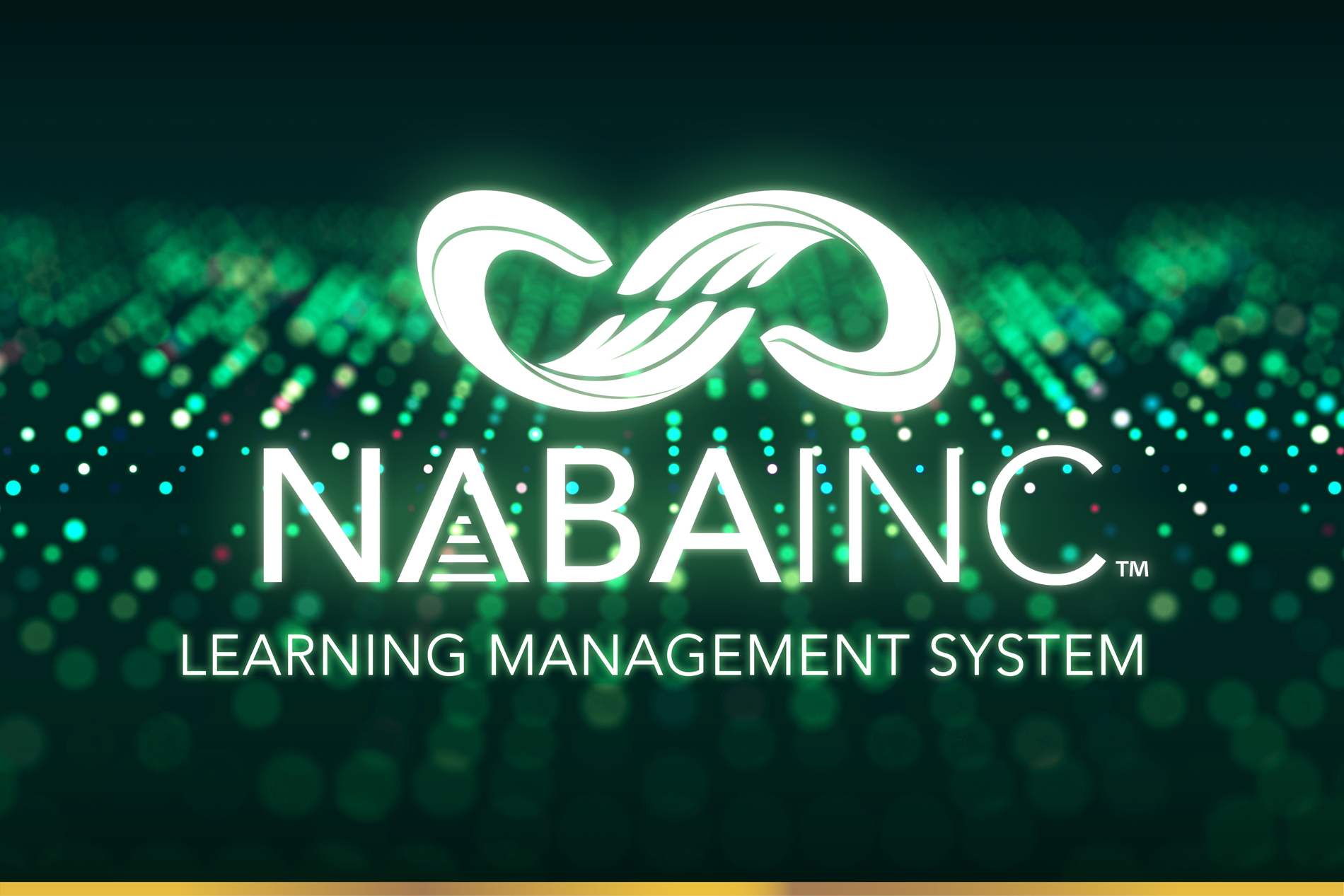 NABA Learning Management System welcome graphic